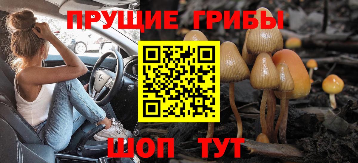 Галлюциногенные грибы Cubensis Дубна