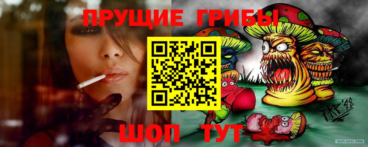 Псилоцибиновые грибы прущие грибы  Вход с VPN  где продают наркотики  Дубна 