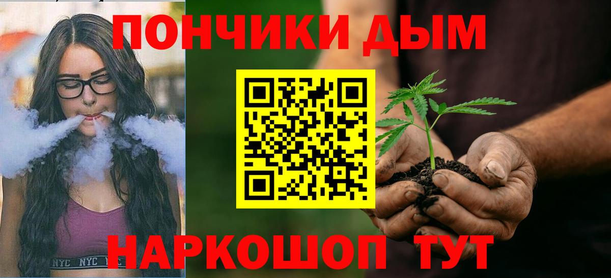 Канабис конопля Дубна